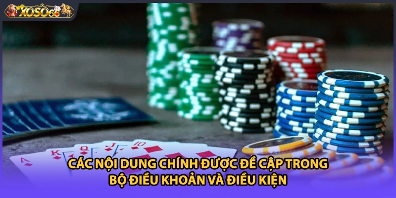 Các nội dung chính được đề cập trong bộ điều khoản và điều kiện
