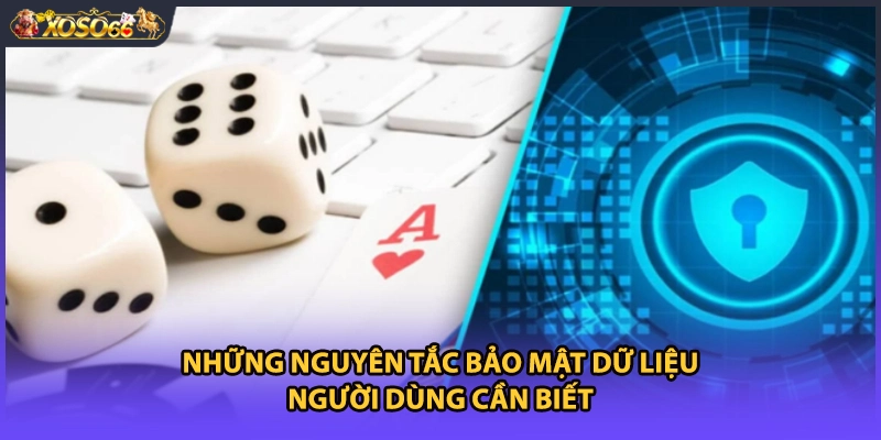 Những nguyên tắc bảo mật dữ liệu người dùng cần biết