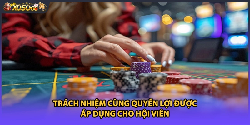 Trách nhiệm cùng quyền lợi được áp dụng cho hội viên